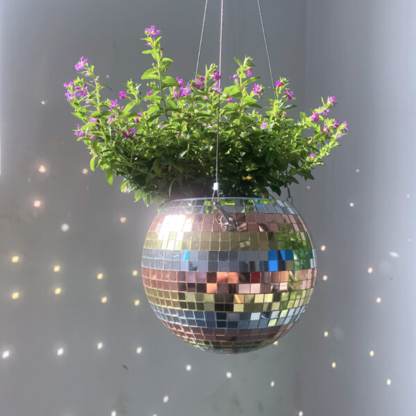 rainbow disco ball planter