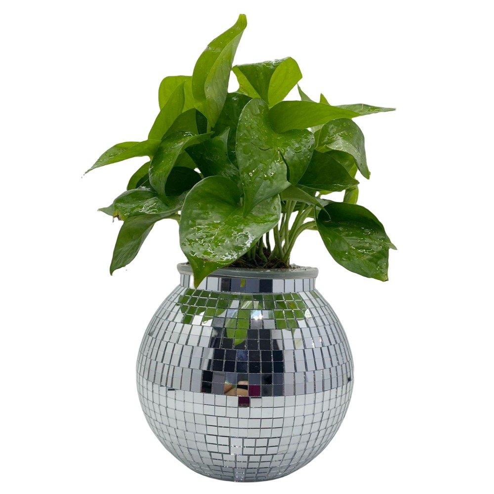 7inch 18cm Plastic Disco Ball Planter desktop - Image 5