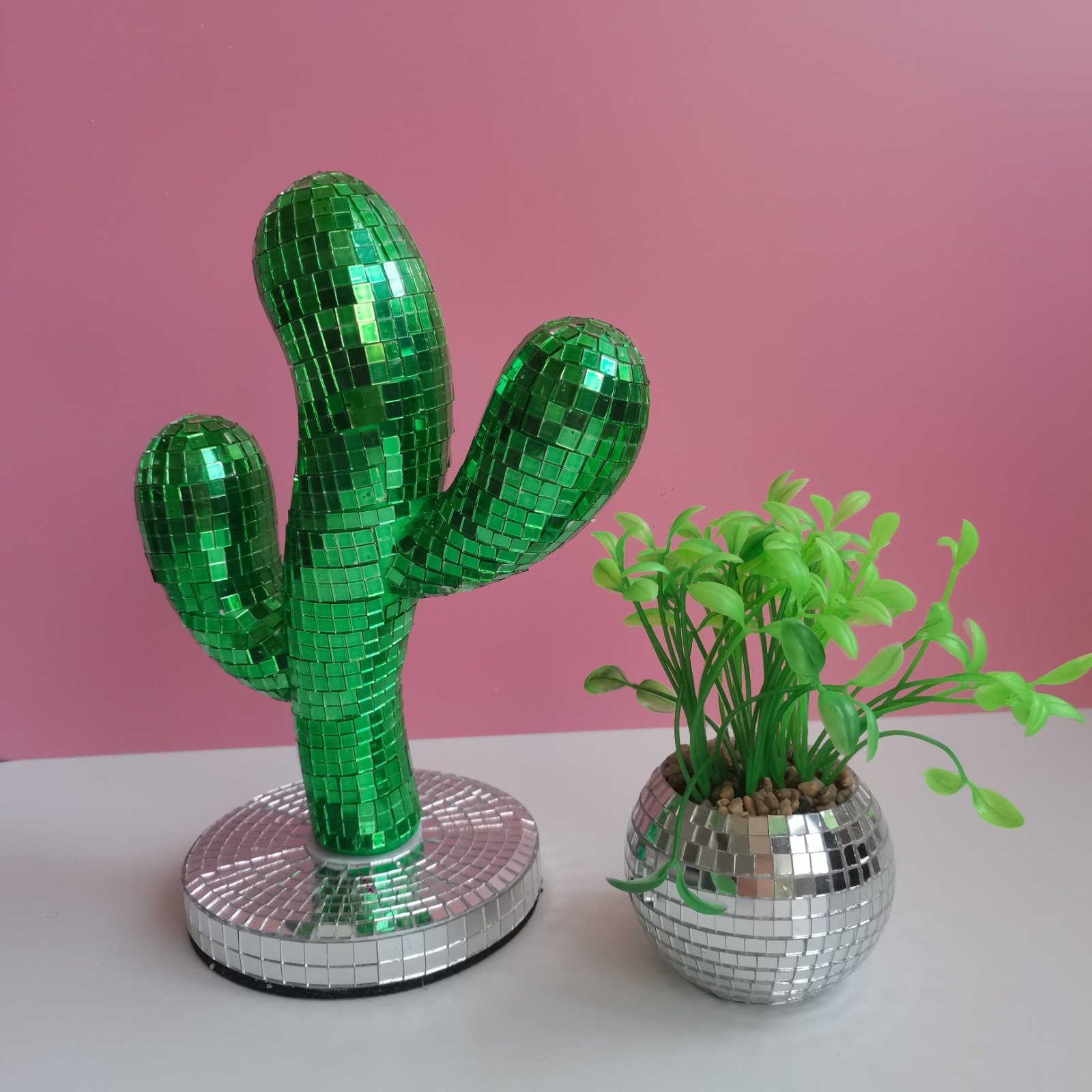 Disco Creative cactus - Image 2