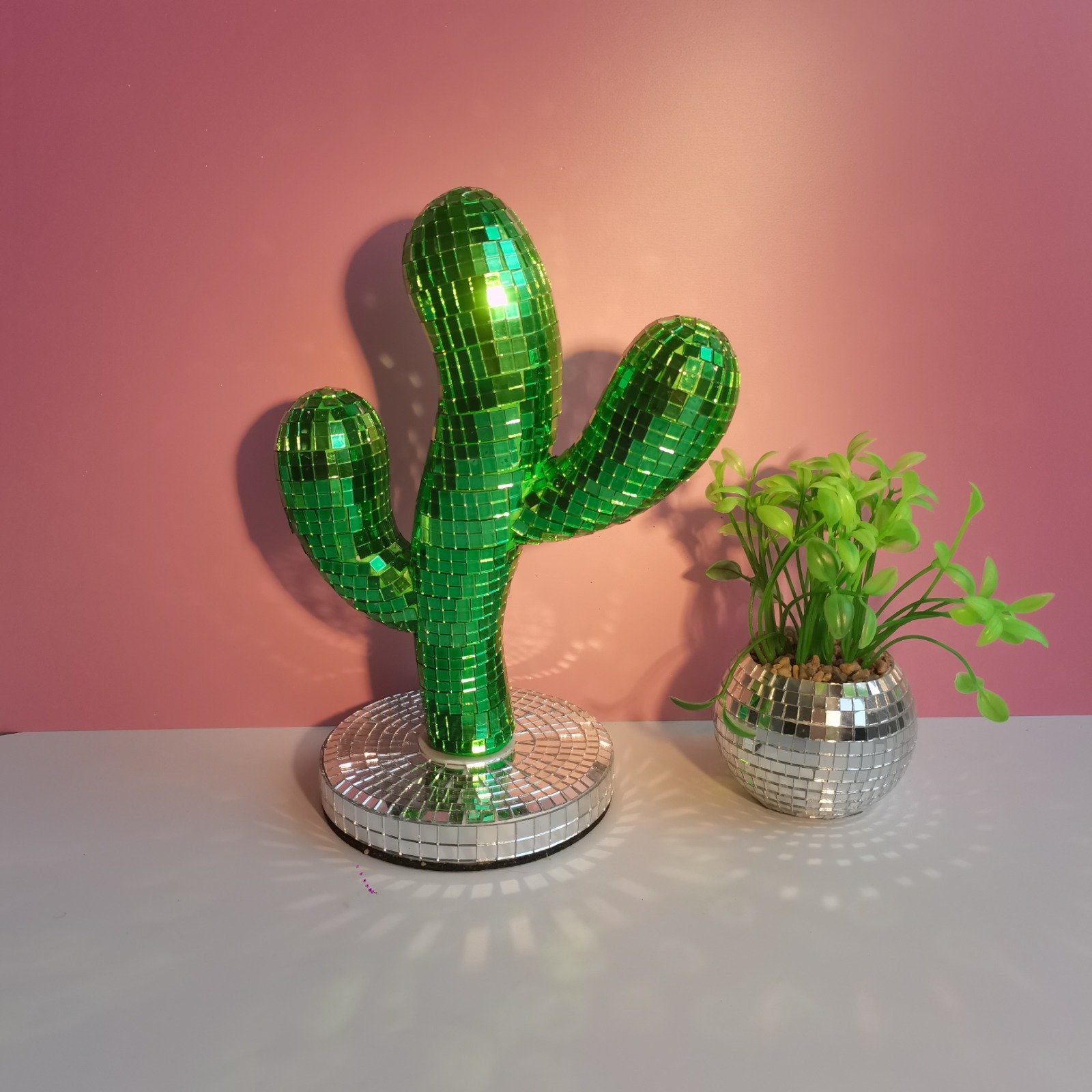 Disco Creative cactus - Image 10